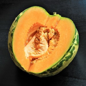 semena, melon, melon ananasovy, semena melonu